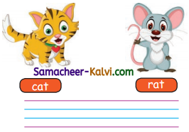 Samacheer Kalvi 3rd Standard English Guide Term 3 Chapter 2 Tools We Use 45