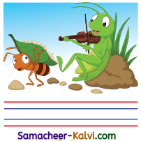 Samacheer Kalvi 3rd Standard English Guide Term 3 Chapter 2 Tools We Use 49