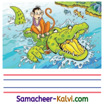 Samacheer Kalvi 3rd Standard English Guide Term 3 Chapter 2 Tools We Use 50