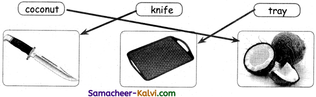 Samacheer Kalvi 3rd Standard English Guide Term 3 Chapter 2 Tools We Use 52