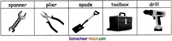 Samacheer Kalvi 3rd Standard English Guide Term 3 Chapter 2 Tools We Use 58