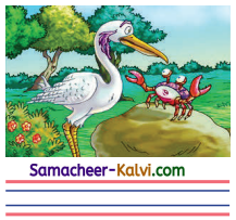 Samacheer Kalvi 3rd Standard English Guide Term 3 Chapter 2 Tools We Use 69