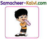 Samacheer Kalvi 3rd Standard English Guide Term 3 Chapter 3 Places in My Town 61