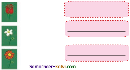 Samacheer Kalvi 3rd Standard Maths Guide Term 1 Chapter 2 Numbers 2