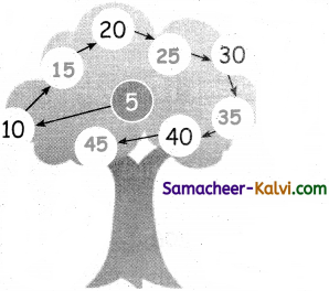 Samacheer Kalvi 3rd Standard Maths Guide Term 1 Chapter 2 Numbers 9