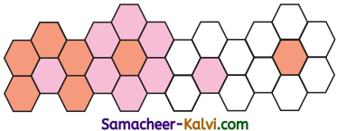 Samacheer Kalvi 3rd Standard Maths Guide Term 3 Chapter 1 Geometry 17