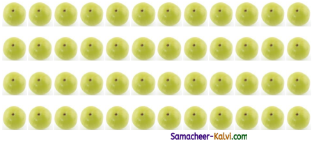 Samacheer Kalvi 3rd Standard Maths Guide Term 3 Chapter 2 Numbers 11