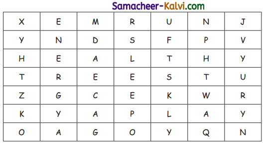 Samacheer Kalvi 3rd Standard Science Guide Term 1 Chapter 1 My Body 15