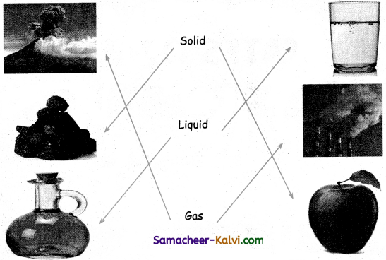 Samacheer Kalvi 3rd Standard Science Guide Term 1 Chapter 2 States of Matter 2