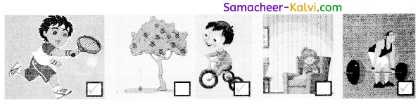 Samacheer Kalvi 3rd Standard Science Guide Term 1 Chapter 3 Force 14