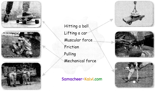Samacheer Kalvi 3rd Standard Science Guide Term 1 Chapter 3 Force 2