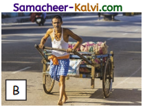 Samacheer Kalvi 3rd Standard Science Guide Term 2 Chapter 1 Food 13