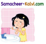 Samacheer Kalvi 3rd Standard Science Guide Term 2 Chapter 2 water 1