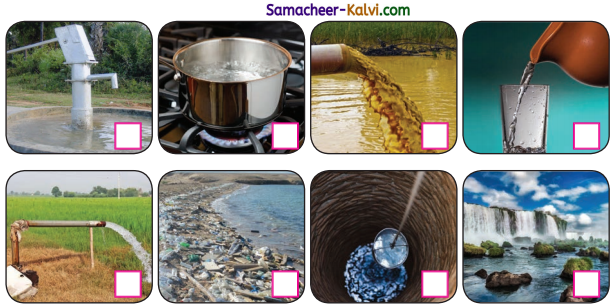 Samacheer Kalvi 3rd Standard Science Guide Term 2 Chapter 2 water 11