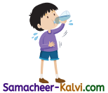 Samacheer Kalvi 3rd Standard Science Guide Term 2 Chapter 2 water 5