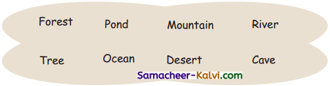 Samacheer Kalvi 3rd Standard Science Guide Term 2 Chapter 3 Plants 10