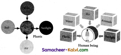 Samacheer Kalvi 3rd Standard Science Guide Term 3 Chapter 1 Our Environment 15