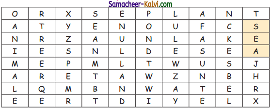 Samacheer Kalvi 3rd Standard Science Guide Term 3 Chapter 1 Our Environment 16