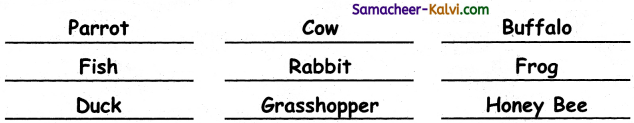Samacheer Kalvi 3rd Standard Science Guide Term 3 Chapter 1 Our Environment 4