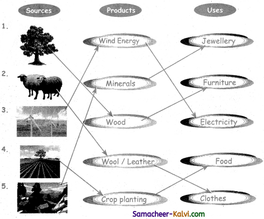 Samacheer Kalvi 3rd Standard Science Guide Term 3 Chapter 1 Our Environment 7