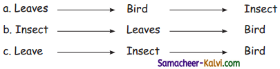 Samacheer Kalvi 3rd Standard Science Guide Term 3 Chapter 2 Animal Life 1
