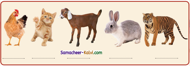 Samacheer Kalvi 3rd Standard Science Guide Term 3 Chapter 2 Animal Life 14
