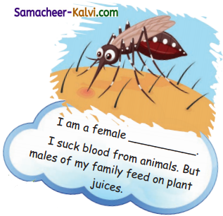 Samacheer Kalvi 3rd Standard Science Guide Term 3 Chapter 2 Animal Life 17