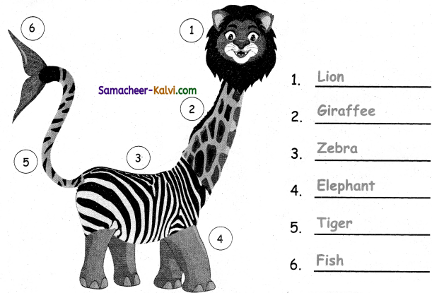 Samacheer Kalvi 3rd Standard Science Guide Term 3 Chapter 2 Animal Life 36