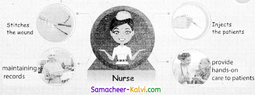Samacheer Kalvi 3rd Standard Social Science Guide Term 1 Chapter 2 Our Friends 4