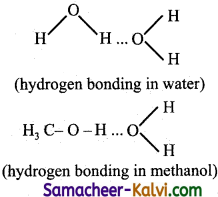 TN State Board 11th Chemistry Important Questions Chapter 4 Hydrogen 12