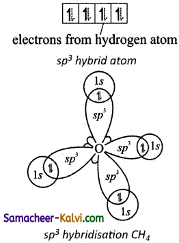 TN State Board 11th Chemistry Important Questions Chapter 10 Chemical Bonding 56