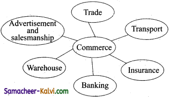 TN Board 11th Commerce Important Questions Chapter 3 Classification of Business Activities 3